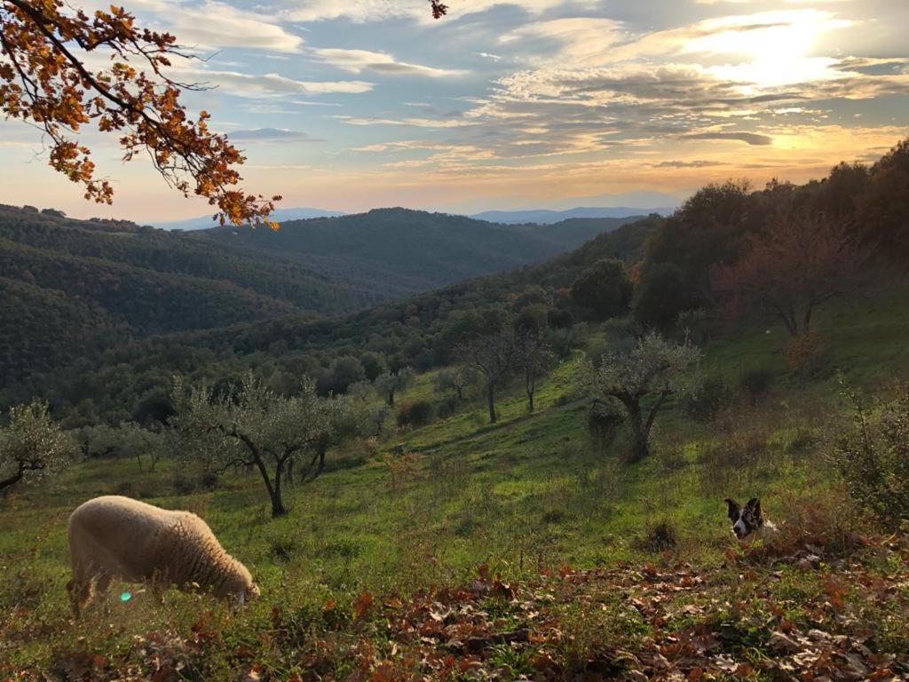 Tatti Nocini Di Maremma 빌라 외부 사진