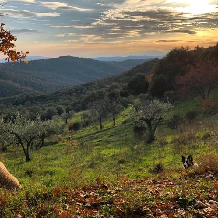 Tatti Nocini Di Maremma 빌라 외부 사진