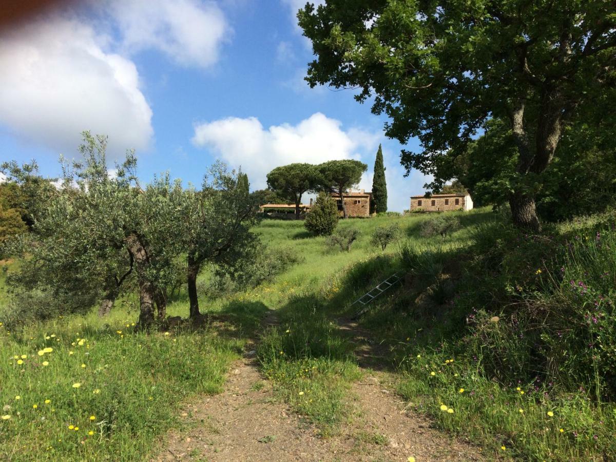 Tatti Nocini Di Maremma 빌라 외부 사진